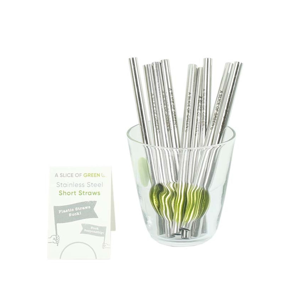 Smoothie sogrör úr stáli - stutt