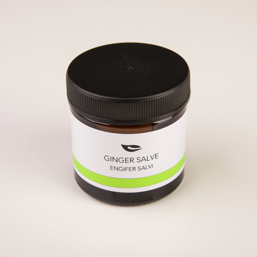 Engifer salvi / Ginger Salve