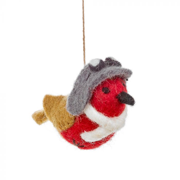 Robin fugl