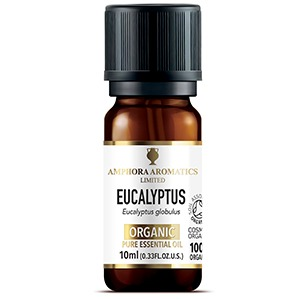 Eucalyptus - lífræn Ilmkjarnaolía