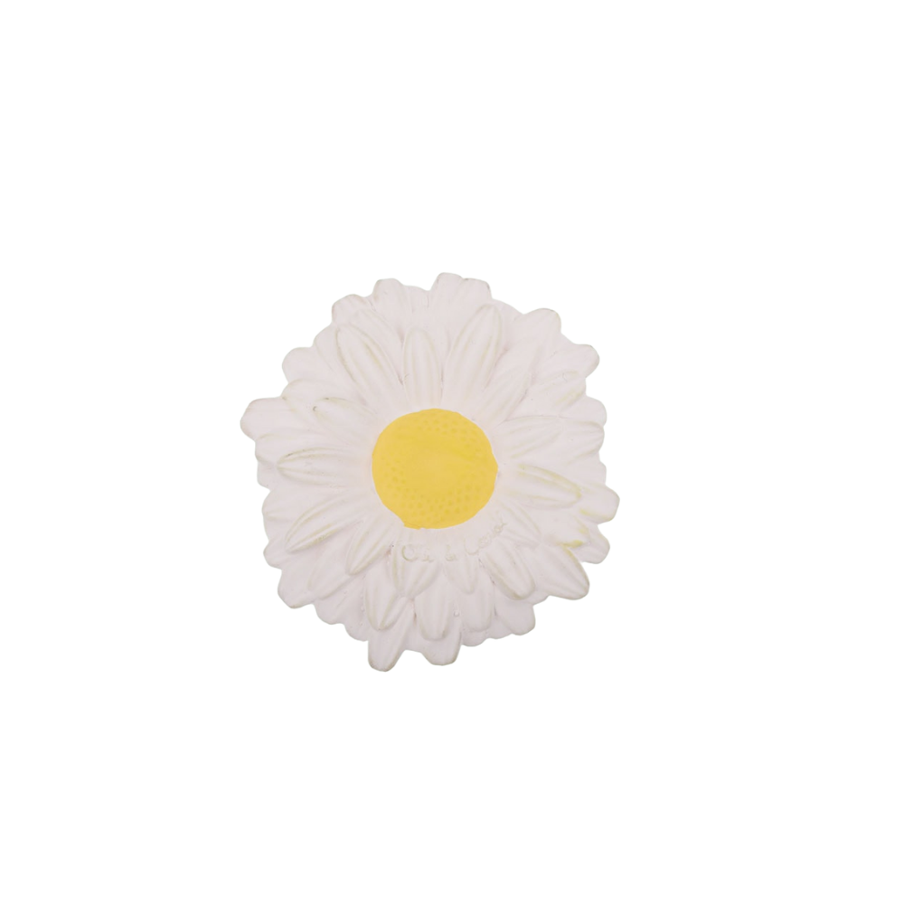 Margarita the Daisy