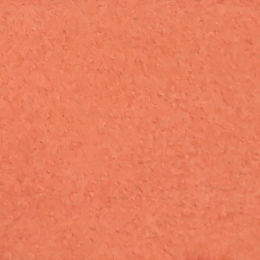 Kinnalitastifti - Blush Stick - 843 Pearly Coral