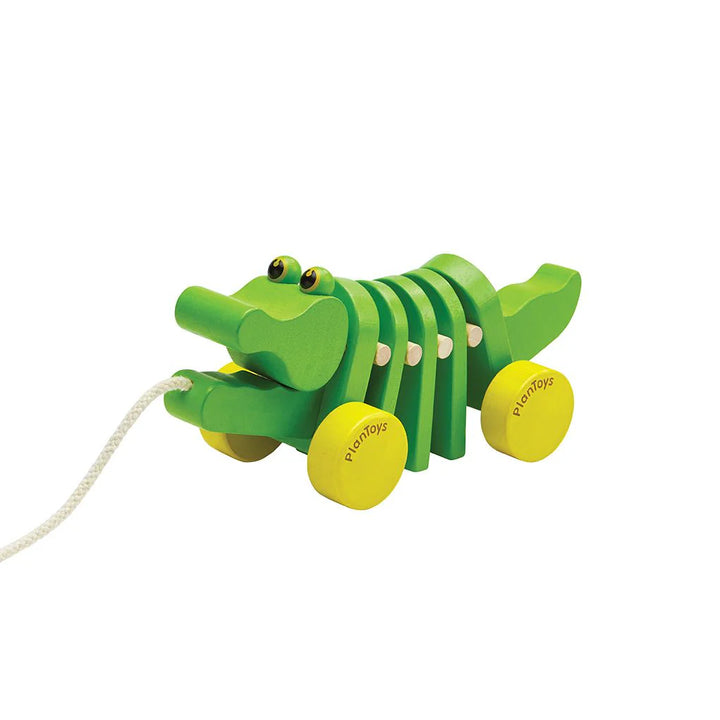DANCING ALLIGATOR