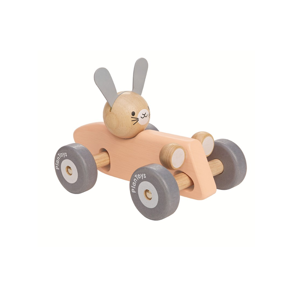 BUNNY RACING CAR