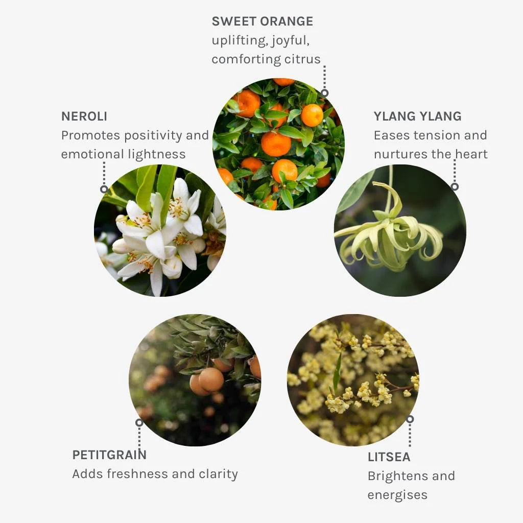 JOYFUL LIGHT ESSENCE