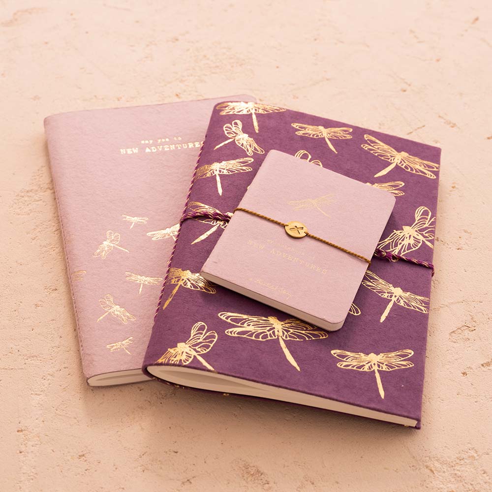 MINNISBÓK - DREKAFLUGUR