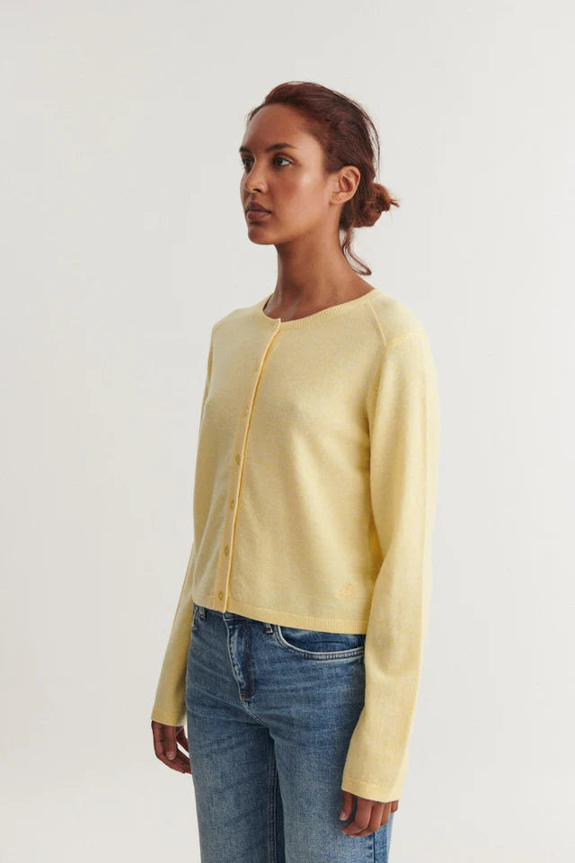 SELEM HNEPPT PEYSA SUNLIGHT