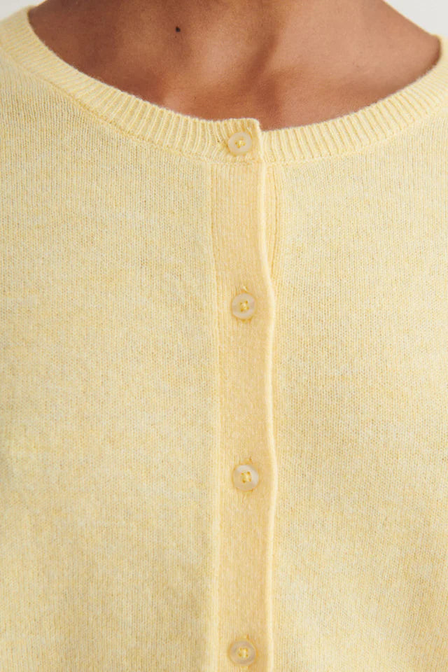 SELEM HNEPPT PEYSA SUNLIGHT