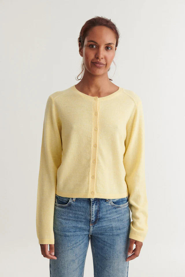 SELEM HNEPPT PEYSA SUNLIGHT