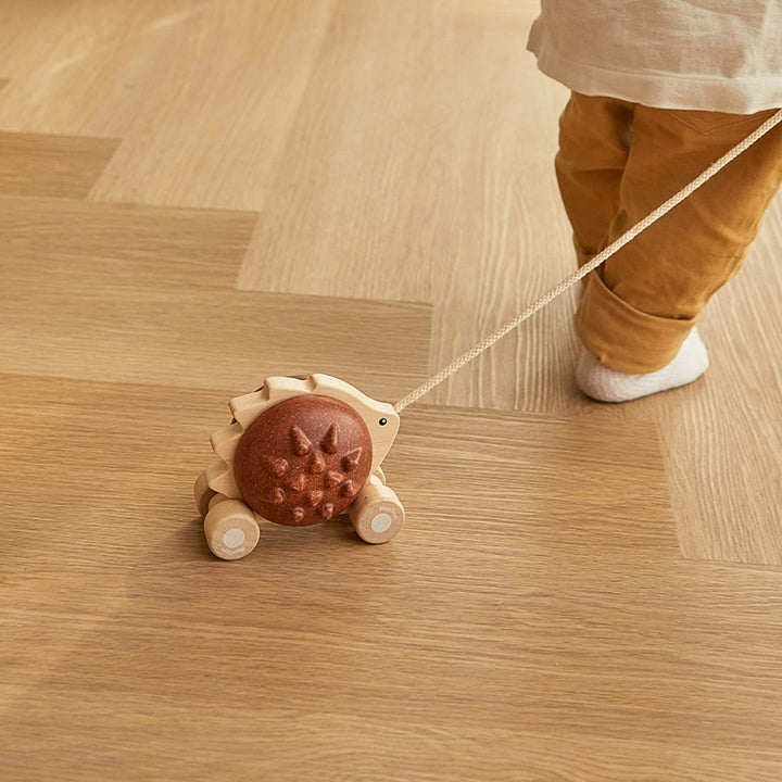 Pull along - Hedgehog - brown